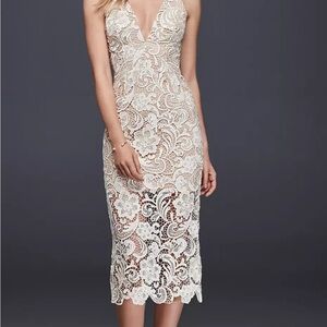 Elegant Cream Lace Dress the Population